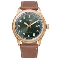 Reloj Citizen Hombre OF COLLECTION 2020 in Acero BM7483-15X - BM7483-15X